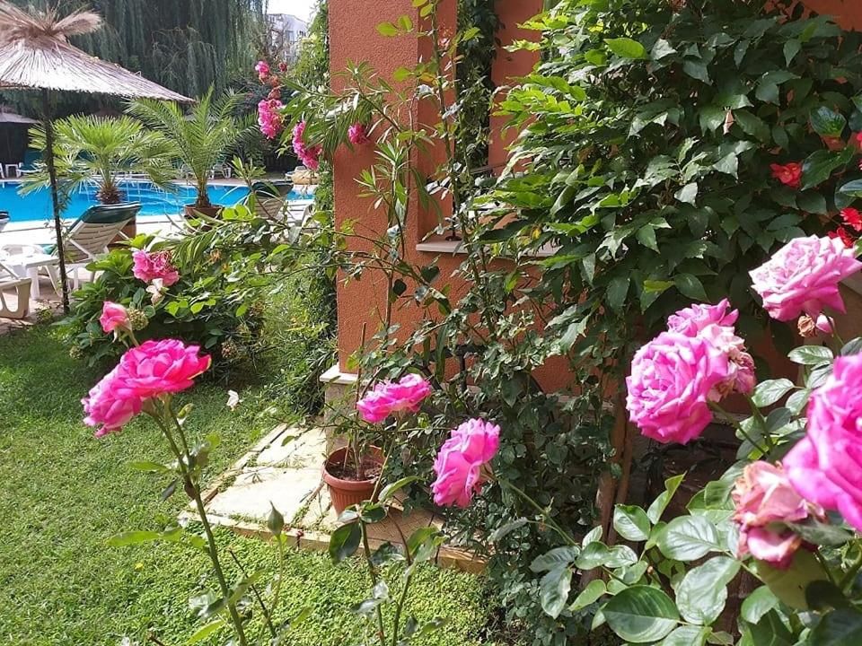 Отель Hotel Liani - All Inclusive Солнечный Берег-26