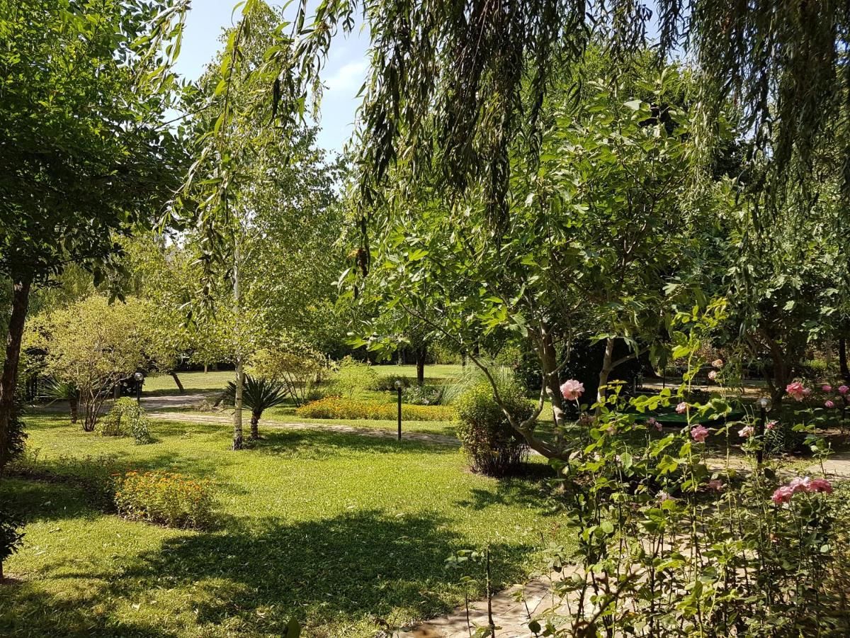 Отель Hotel Liani - All Inclusive Солнечный Берег-6