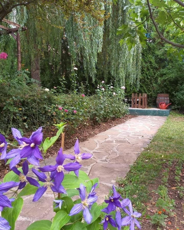 Отель Hotel Liani - All Inclusive Солнечный Берег-40