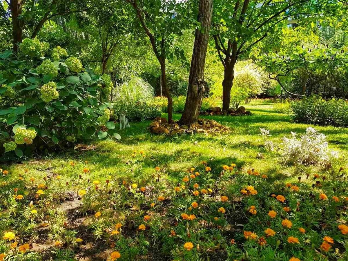 Отель Hotel Liani - All Inclusive Солнечный Берег-7